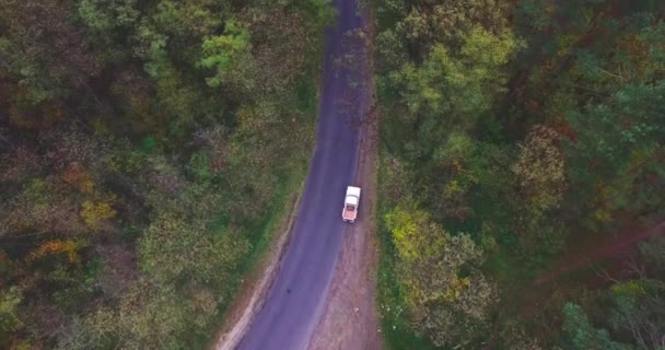 Passeios de carro ao longo da estrada na floresta entre as árvores de outono — Vídeo de Stock