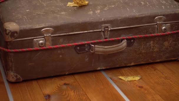 Винтажный кожаный чемодан в деревянном багажнике с осенними листьями — стоковое видео