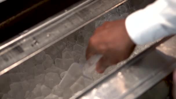 酒保的手正在用马丁尼杯子从金属冰箱里收集冰块 — 图库视频影像