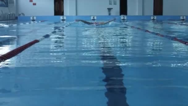 Meisje zwemmer zwemt snel vlinder — Stockvideo