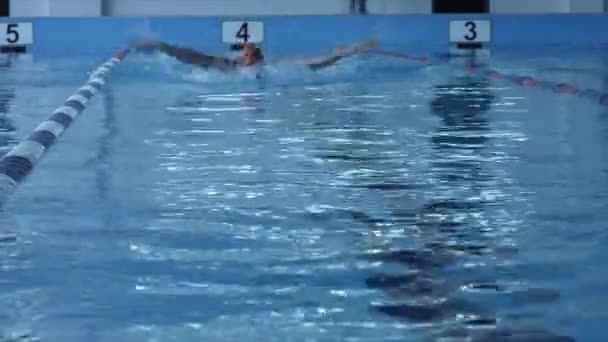 Lány úszó úszik gyors pillangó — Stock videók