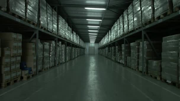 Productie-magazijn in een industrieel bedrijf — Stockvideo