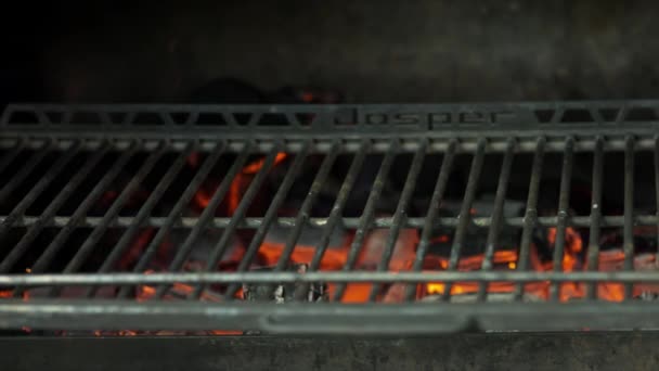 Chef cozinha o peixe na grelha no restaurante — Vídeo de Stock