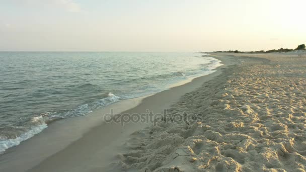 La vue sur la plage et la mer — Video