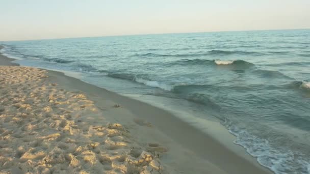 La vue sur la plage et la mer — Video