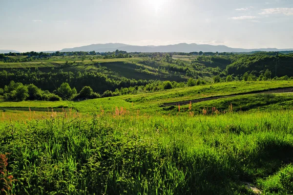 Belles collines verdoyantes au coucher du soleil . — Photo