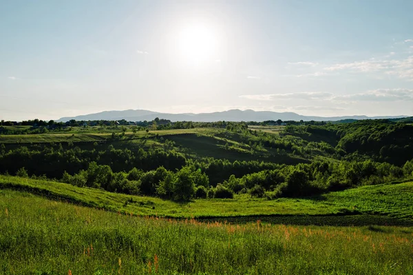 Belles collines verdoyantes au coucher du soleil . — Photo