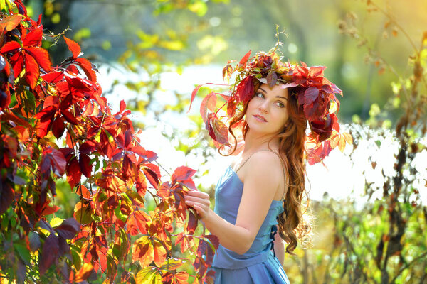 Girl in a wreath of leaves, in a blue dress, standing near the red autumn bushes on a Sunny day, posing and looking over your shoulder
