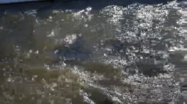 Hızlı bahar Nehri beyaz kar çalışır. 4k, 25 fps
