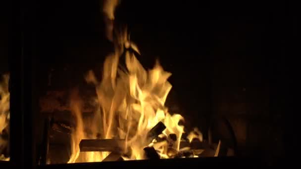 Un beau et lumineux feu brûle à l'intérieur de la cheminée. Le feu se reflète dans la porte vitrée de la cheminée de la maison. Tirer sans personne. Concept. Gros plan. 4k . — Video