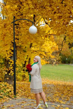 Şişman orta yaşlı bir kadın, bir sonbahar parkında ellerinde kırmızı güller olan sarı ağaçların arka planına karşı poz veriyor. Kameraya bakar ve gülümser. Dikey görünüm.