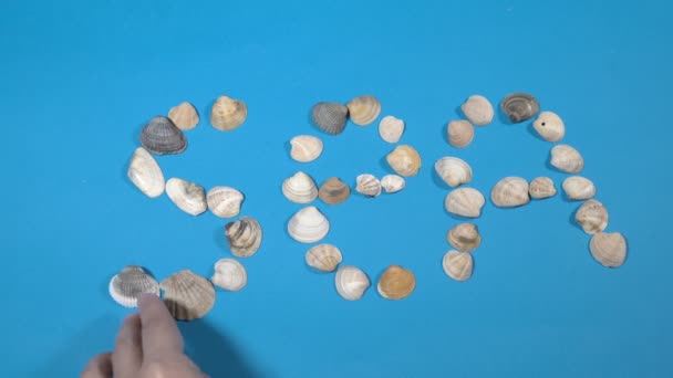 Close-up, a mão de uma mulher estabelece a palavra mar de conchas do mar em um fundo de papel azul. Sem rosto. Conceito. A vista de cima. 4K . — Vídeo de Stock