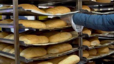 Mağazadaki bir kadın müşteri ekmek seçer. Raftan bir somun alıp bir selofan torbaya koyuyor. Süpermarketten alışveriş. Yüzsüz. Kavram. - Yakın çekim. 4k.