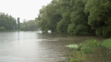 Bulutlu bir yaz gününde şehir parkındaki yoğun yağmur sırasında nehrin güzel manzarası. Büyük yağmur damlaları yeşil ağaçların arka planına karşı suyun yüzeyine düşer. İnsan yok. 4K.