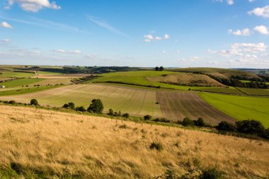 Wiltshire, İngiltere'de sahada bir tohum Ekim çiftçi