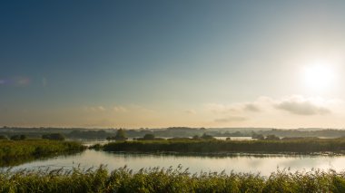 Shapwick Heath Ulusal doğa rezerv panorama