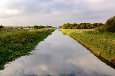 Shapwick Heath Milli tabiatı Güney drenaj