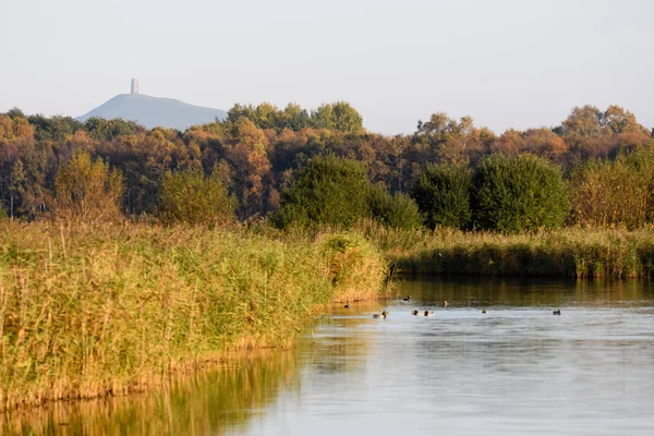 Glastonbury Tor ile jambon duvar Ulusal doğa rezerv