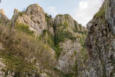 Looking up at cliffs of Cheddar Gorge clipart