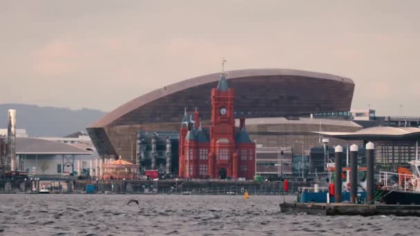 Lungomare della baia di Cardiff con Assemblea nazionale per il Galles — Video Stock