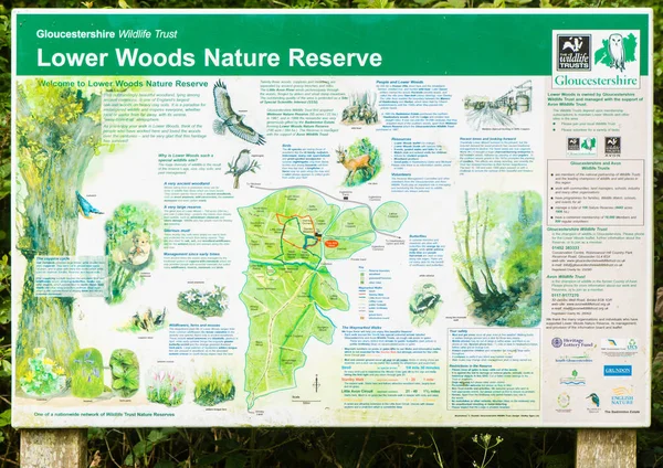 Reserva Natural de Lower Woods — Foto de Stock