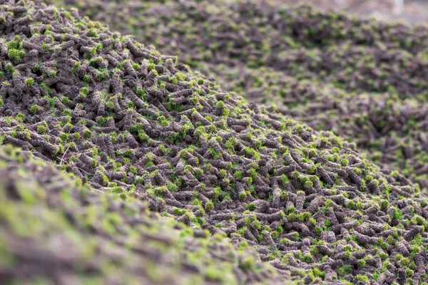 Pilha de fichas de solo removido do campo de golfe — Fotografia de Stock