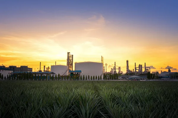 Doğal gaz depolama tankları, yağ tankı, Lpg, Petrokimya tesisi, petrol