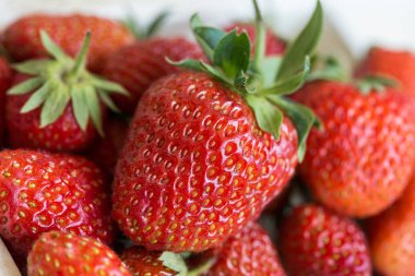 Taze çilek Çilek. Arka plan. Makro