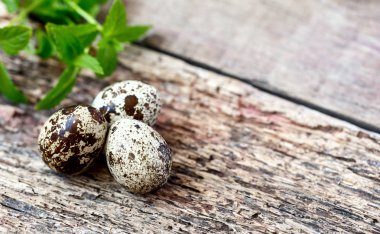 Bıldırcın yumurtası kahverengi ahşap arka plan üzerinde. Kopya-spase