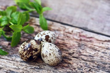 Bıldırcın yumurtası kahverengi ahşap arka plan üzerinde. Kopya-spase