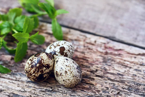 Bıldırcın yumurtası kahverengi ahşap arka plan üzerinde. Kopya-spase