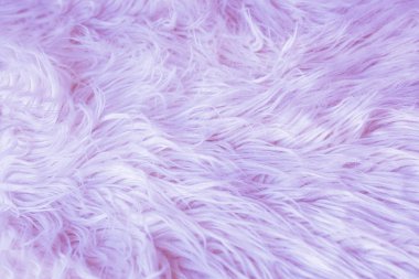 Artificial fur background violet. Flat lay. clipart