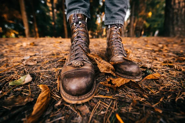 Pernas de homem em botas de couro vintage cortador de madeira e jeans cortados de pé na floresta de outono no chão. Cores de queda e conceito de humor. Sapatos confortáveis. Caminhando no fim de semana na natureza. Distorção da lente. — Fotografia de Stock