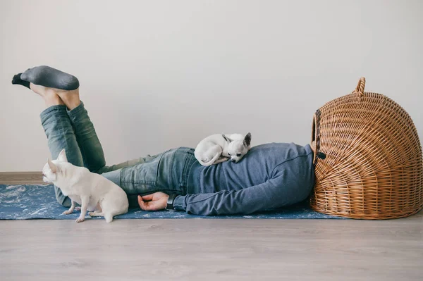 Homem desconhecido deitado no tapete de ioga. Cabeça em casota de vime. Homem de roupa elegante. Estranho estranho bizarro estranho incomum cara sem cabeça. Pequenos cachorrinhos mexicanos chihuahua dormindo em casa. Cães sem abrigo . — Fotografia de Stock