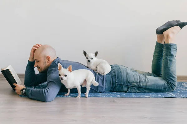 Uomo adulto calvo in abiti alla moda sdraiato su tappetino yoga. Un ragazzo che legge un libro. Due cuccioli di chihuahua maschi bianchi a casa. Animali domestici a letto con il proprietario. Piccolo bel cane peloso seduto sul pavimento in legno. — Foto Stock