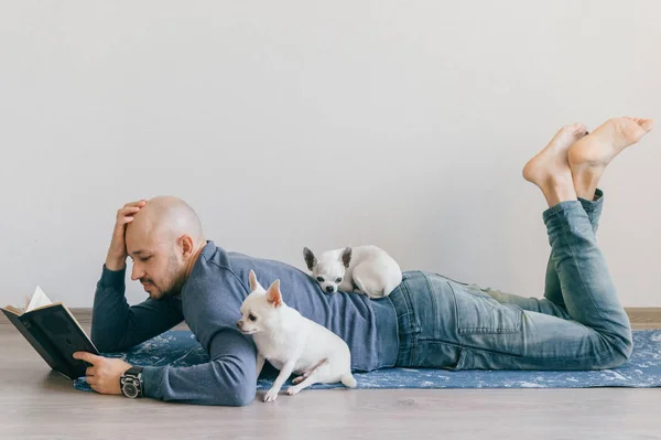 Ein erwachsener, glatzköpfiger Mann in modischer Kleidung liegt auf einer Yogamatte. Junger Mann liest Buch. Zwei weiße Chihuahua-Welpen zu Hause. Haustier schläft mit Besitzer. Kleiner hübscher pelziger Hund sitzt auf Holzboden. — Stockfoto