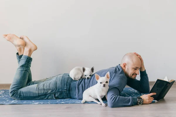 Uomo adulto calvo in abiti alla moda sdraiato su tappetino yoga. Un ragazzo che legge un libro. Due cuccioli di chihuahua maschi bianchi a casa. Animali domestici a letto con il proprietario. Piccolo bel cane peloso seduto sul pavimento in legno. — Foto Stock