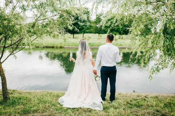 Novia con novio de pie más allá del río y mirando hacia adelante. Fiesta del día de la boda en la naturaleza. Las manos abrazándose. Acabo de casarme. Esposa en vestido y marido en traje con copas de champán . —  Fotos de Stock