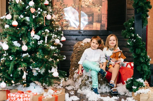 Chico y chica enamorados. Árbol de Navidad y decoraciones de año nuevo. Encantadores niños pequeños abrazándose. Vacaciones de invierno. Joven macho y hembra jugando y riendo en el estudio. Niños emociones alegres . —  Fotos de Stock