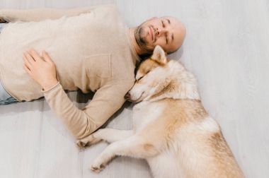 Husky yavrusu katta uyuyan yetişkin kel adam. Pe ile sahibi