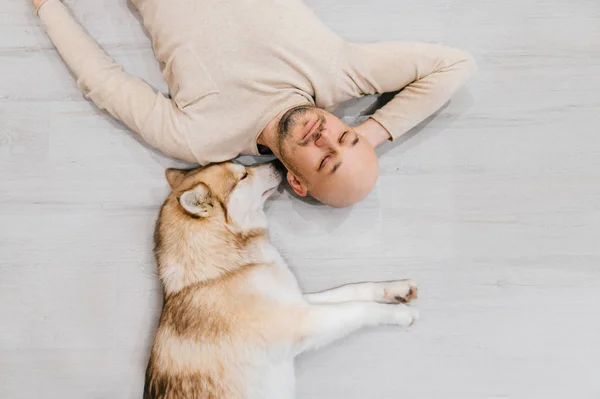 Ein erwachsener Mann mit Glatze und Husky-Welpen schläft auf dem Boden. Besitzer mit Haustier zusammen zu Hause. Freundliche und gefühlvolle Gefühle. Schöner Hund, der mit jungen Rüden ruht. Kerl mit geliebtem Haustier umarmt sich. — Stockfoto