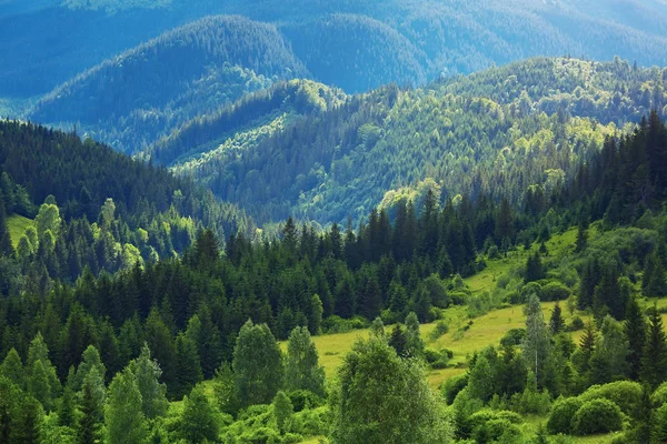 森林、カルパチア風景、西パーでおおわれた山 — ストック写真