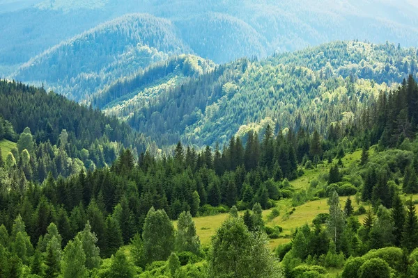 森林、カルパチア風景、西パーでおおわれた山 — ストック写真