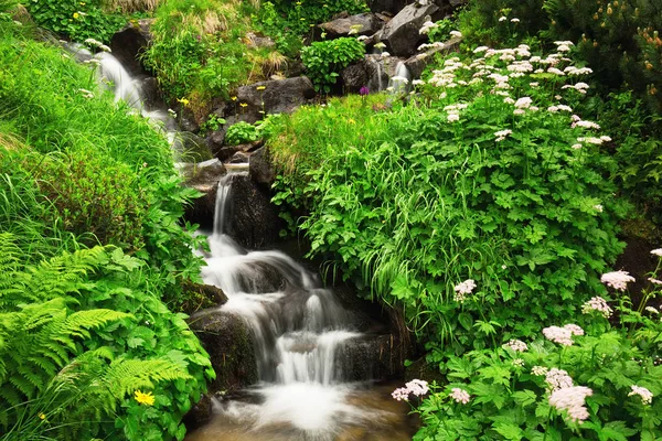 Az erdő fürdés, buja zöld, nyáron a kis vízesés — Stock Fotó