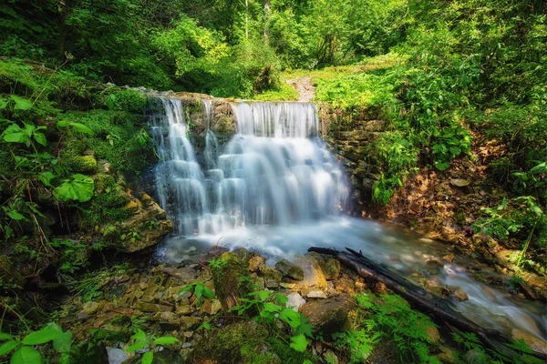 Vízesés az erdőben, nyári szabadtéri backgriund — Stock Fotó