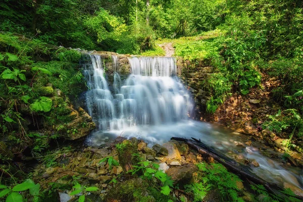 Vízesés Erdőben Nyári Szabadtéri Backgriund — Stock Fotó