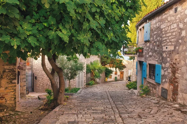 Rovinj eski kenti sokakları, Hırvatistan 'da popüler seyahat merkezleri