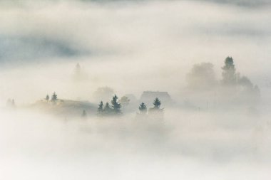 Sabah sisli ormanlı küçük bir dağ köyü.