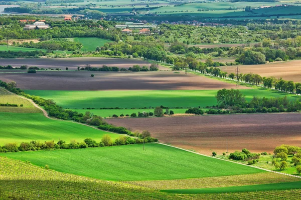 Rural Landscape Southern Moravia Czech Republic Aerial View — Stock Photo, Image