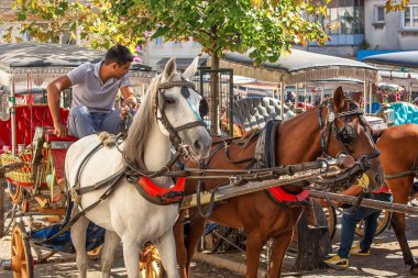 BUYUKADA, TURKEY - October 10th, 2019: Horse carriage ready to pick up tourists.  